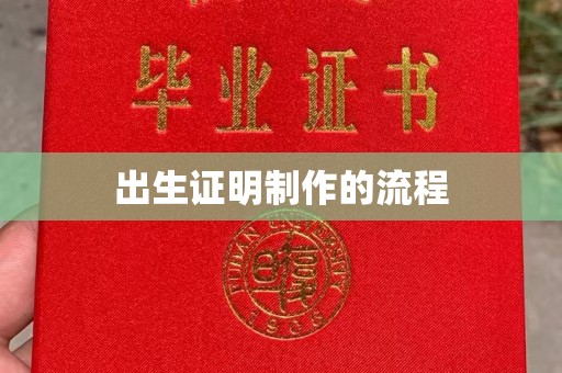 池州出生证明制作的流程