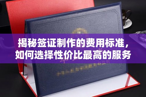 池州揭秘签证制作的费用标准，如何选择性价比最高的服务？