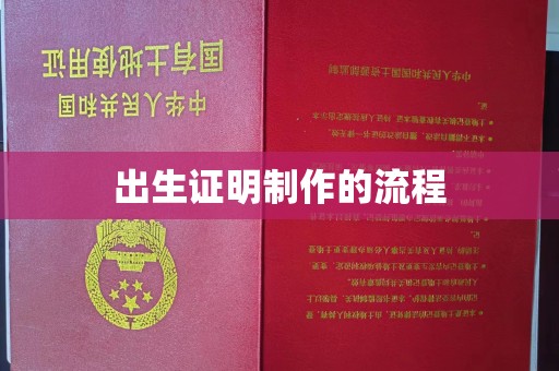 池州出生证明制作的流程