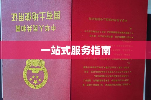 池州一站式服务指南