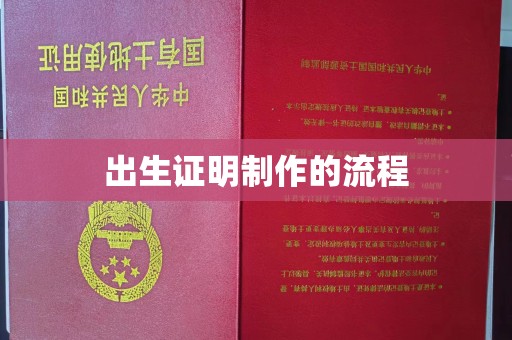 池州出生证明制作的流程