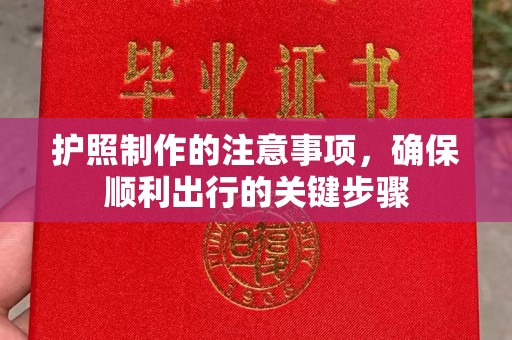 池州护照制作的注意事项，确保顺利出行的关键步骤