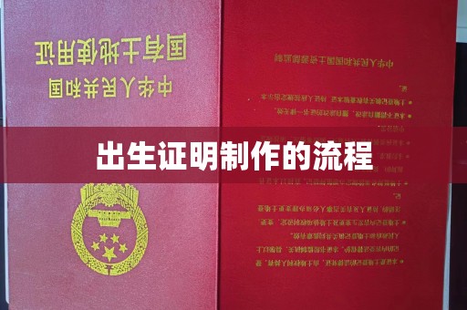池州出生证明制作的流程