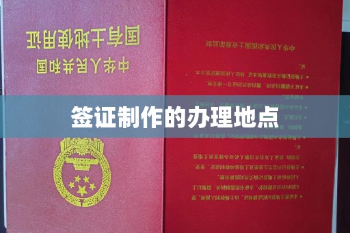 池州签证制作的办理地点