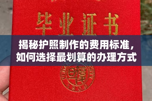 池州揭秘护照制作的费用标准，如何选择最划算的办理方式？