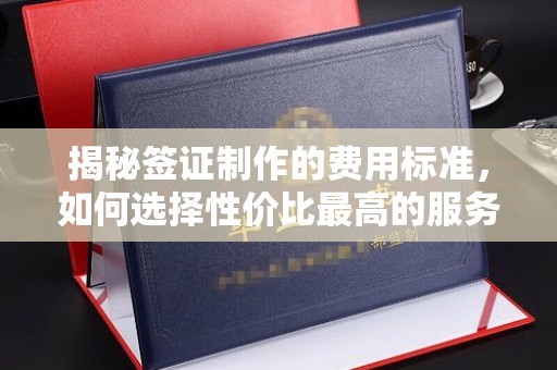 池州揭秘签证制作的费用标准，如何选择性价比最高的服务？