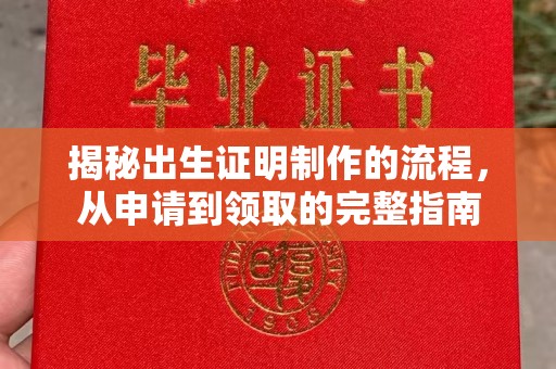 池州揭秘出生证明制作的流程，从申请到领取的完整指南