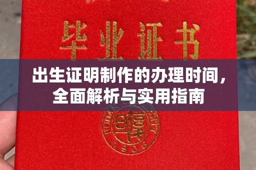 池州出生证明制作的办理时间，全面解析与实用指南