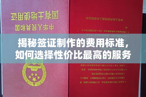 池州揭秘签证制作的费用标准，如何选择性价比最高的服务？