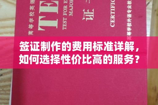 池州签证制作的费用标准详解，如何选择性价比高的服务？